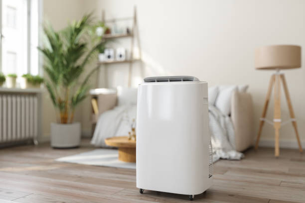 Best HVAC air duct cleaning  in Nokesville, VA
